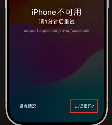 神农架苹果手机密码维修分享iPhone忘记了刚设置的密码 